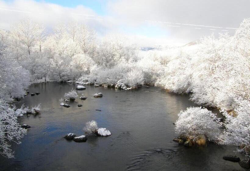 酒店 Hostal Carmen