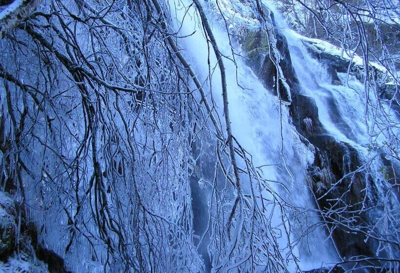 酒店 Hostal Carmen