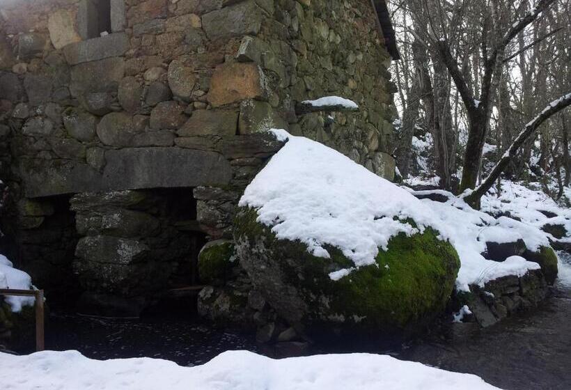 酒店 Hostal Carmen