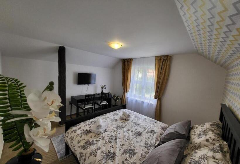 호텔 Vládní Vila