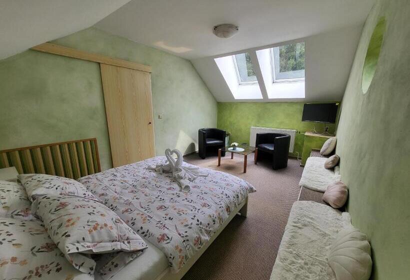 호텔 Vládní Vila