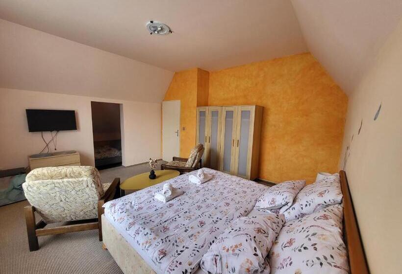 Отель Vládní Vila