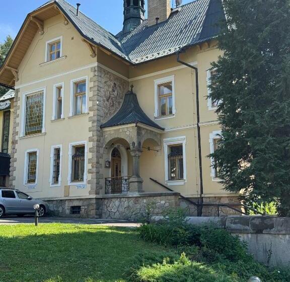 Отель Vládní Vila