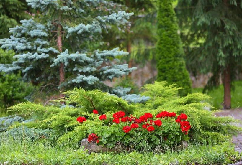 膳宿费 Complex Turistic Perla Trascaului