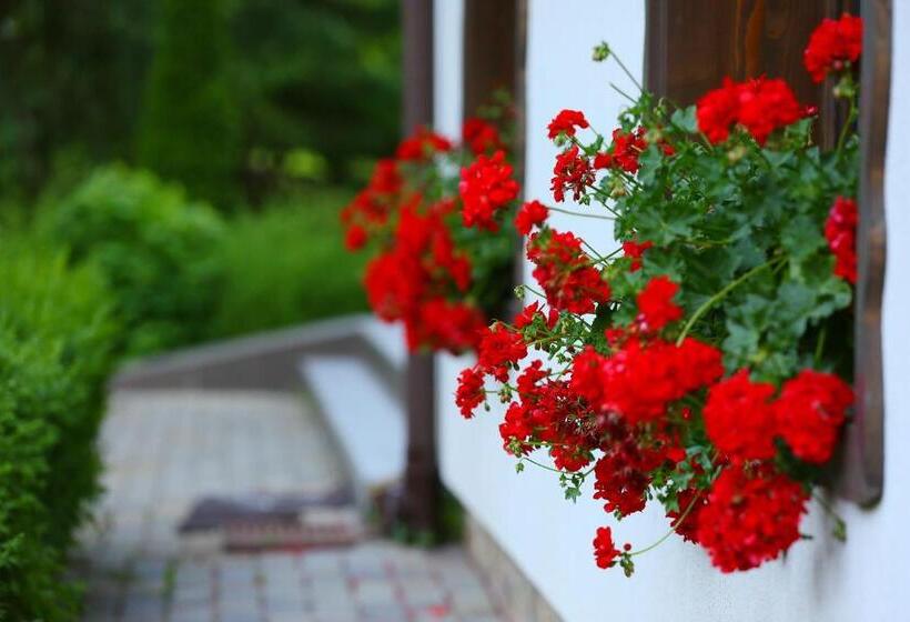 膳宿费 Complex Turistic Perla Trascaului