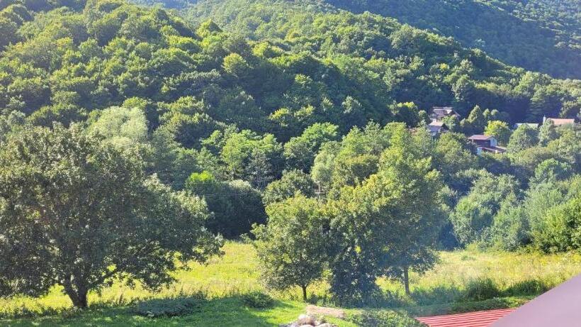 膳宿费 Complex Turistic Perla Trascaului