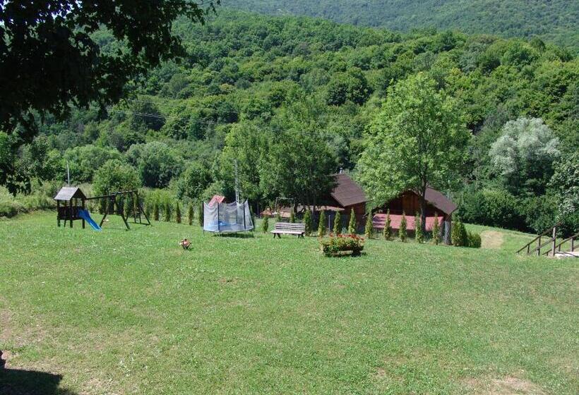 膳宿费 Complex Turistic Perla Trascaului