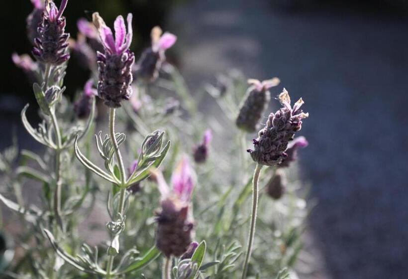 膳宿费 Gula Hönan Guest House