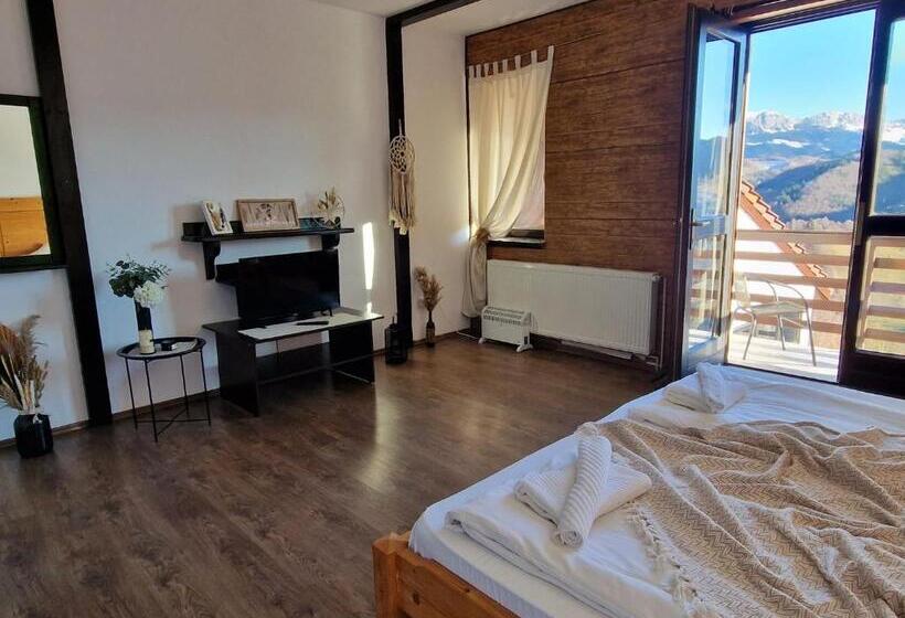 بنسيون Hanul Dorului