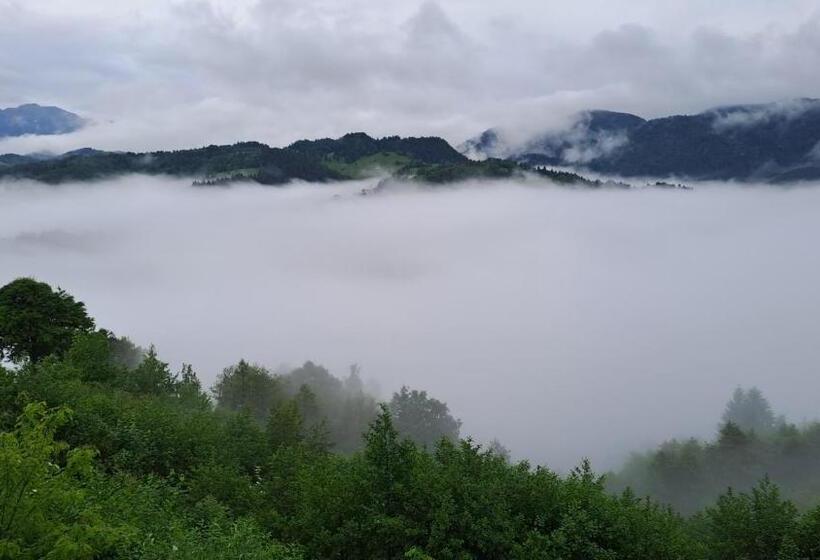 بنسيون Hanul Dorului