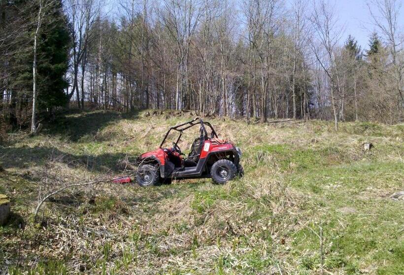 Пансион La Caramidari