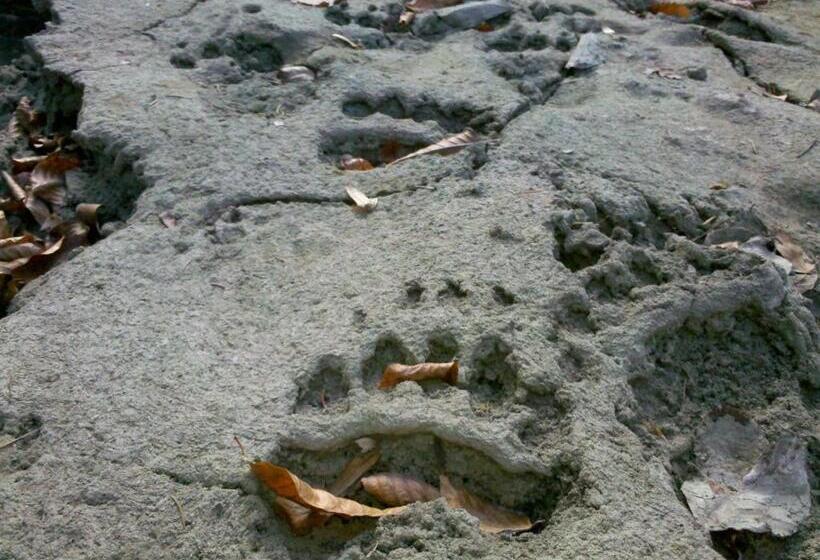 Пансион La Caramidari