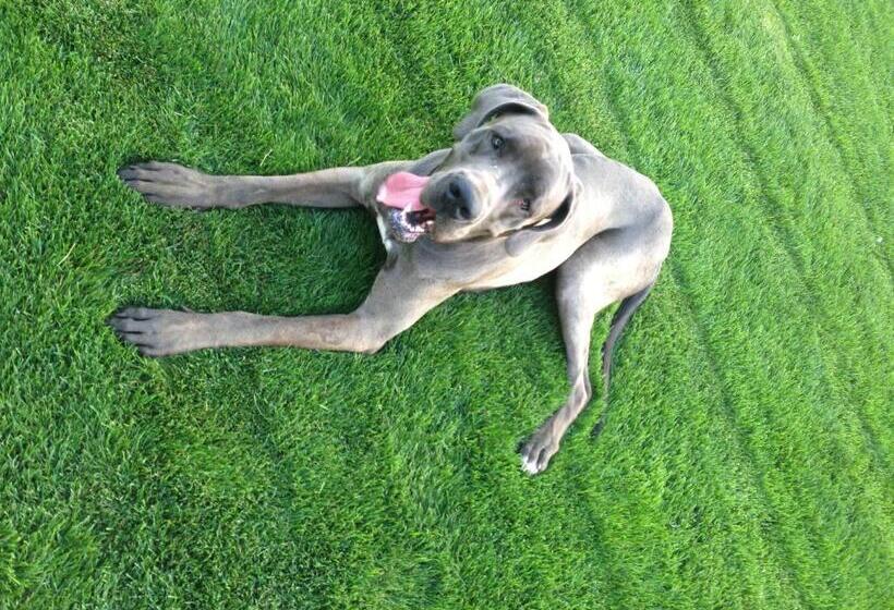 פנסיון Penzión One