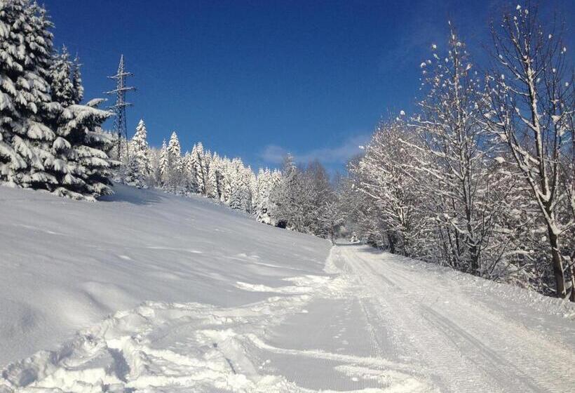 ペンション Penzion A Restaurace Sokolí Boudy