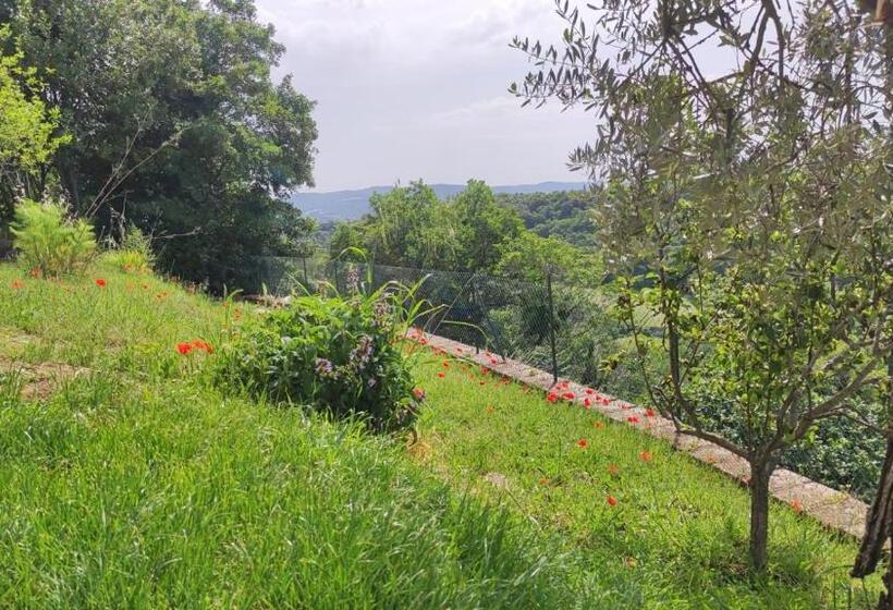 פנסיון A 2 Passi Dal Lago