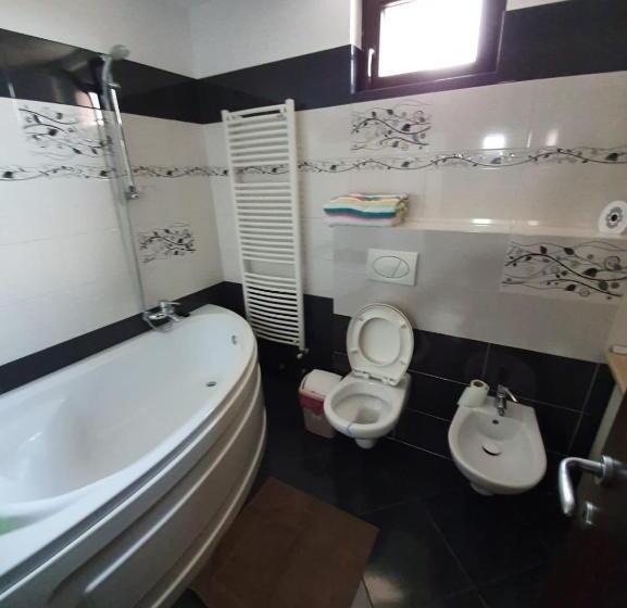 بنسيون La Grig