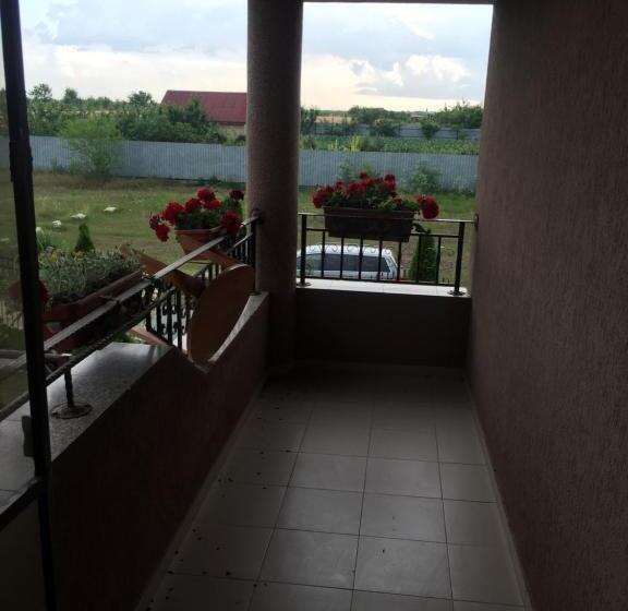 بنسيون La Grig