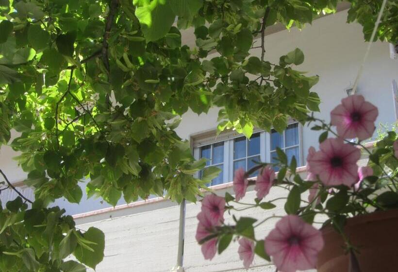 B&b Il Country E Il Mare