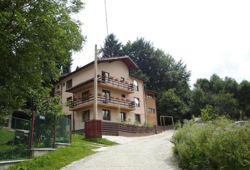 ベッドアンドブレックファースト Pensiunea Roua