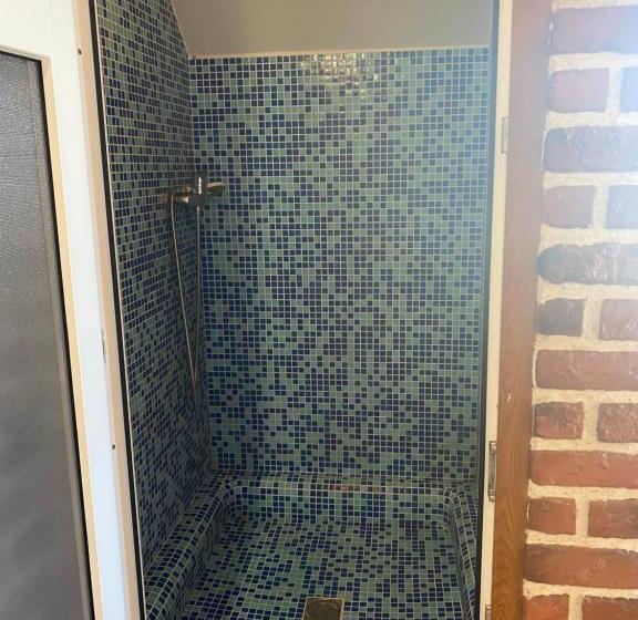 Herberge старий янів