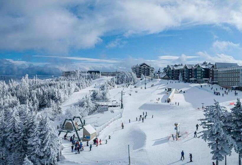 Allegheny Spg Cozy Condo Ski From Our Patio