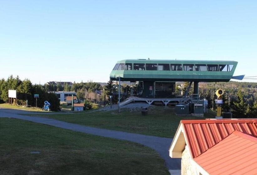 Allegheny Spg Cozy Condo Ski From Our Patio