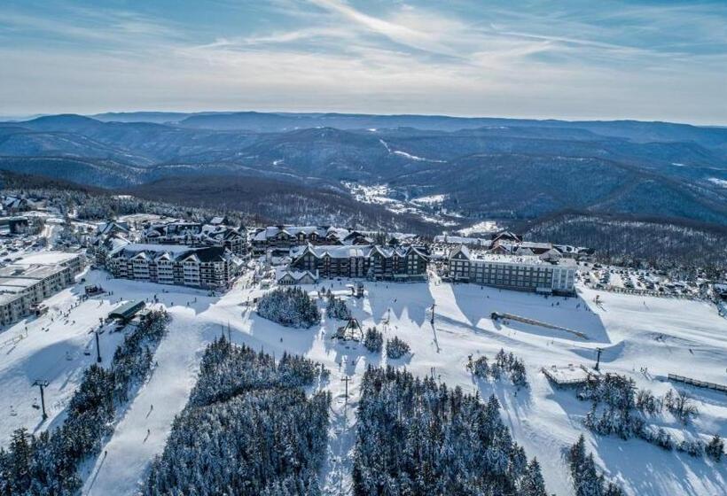 Allegheny Spg Cozy Condo Ski From Our Patio