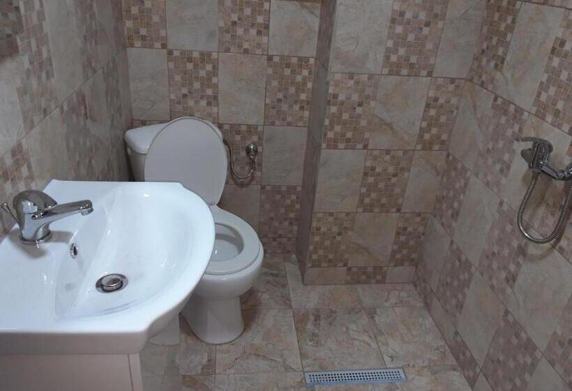 Pensiunea Casa Roman