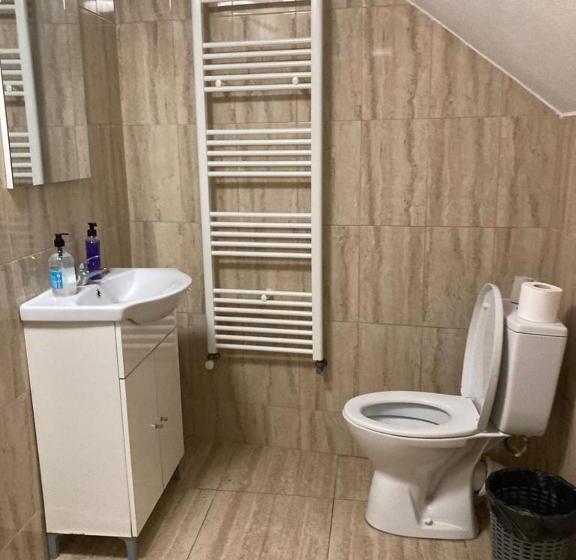 Pensiunea Casa Roman