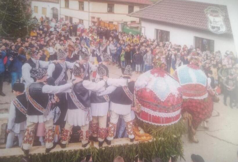 Pensiunea Casa Roman