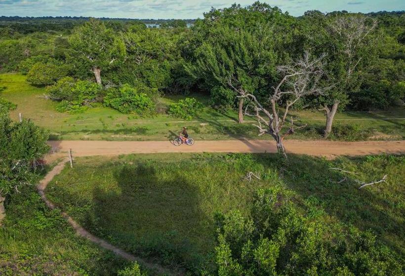 리조트 Leopard Reach Yala By Seven Angels