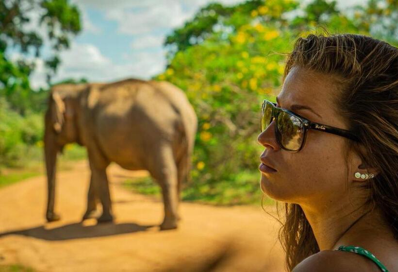 리조트 Leopard Reach Yala By Seven Angels