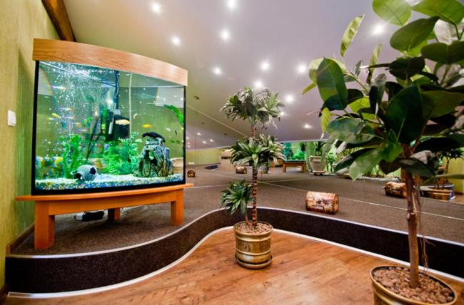 호텔 отель соборный