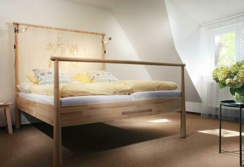 בית מלון כפרי Kaštieľ čičmany