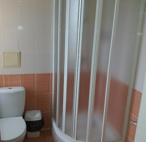 پانسیون гостинний двір ліснови