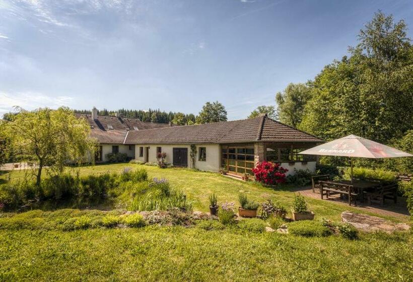 Пансион Penzion U Dračice