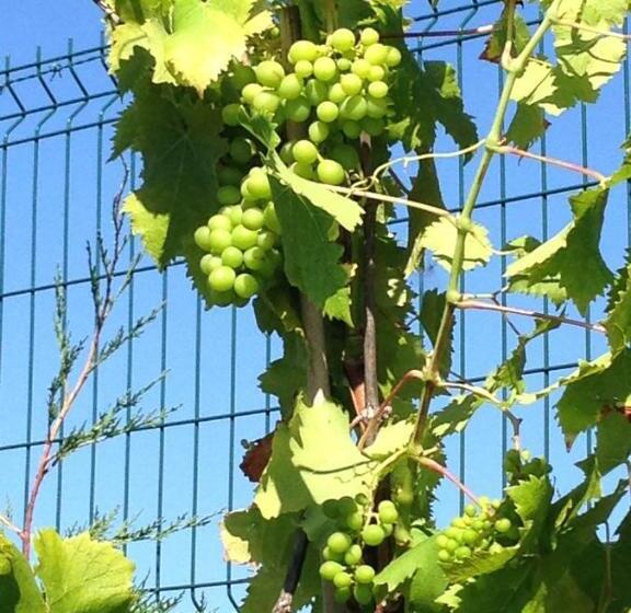 Пансион Villa Argomaniz