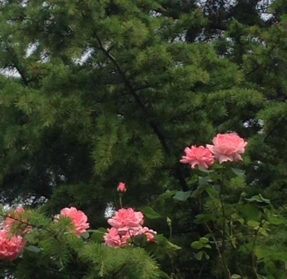 Пансион Villa Argomaniz