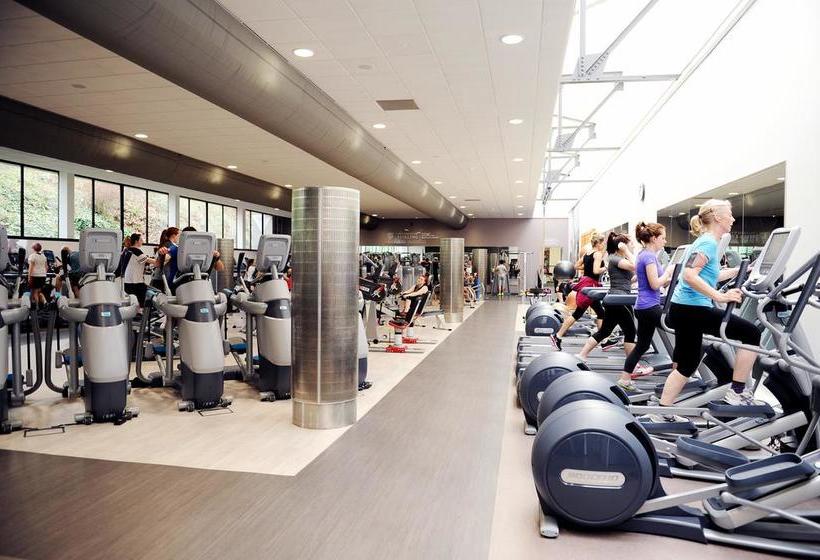 فندق صغير Juniper Court