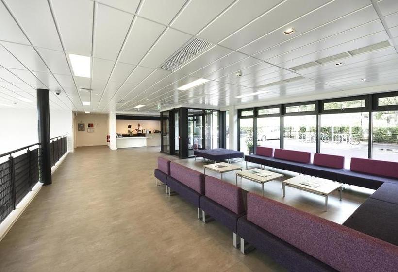 旅馆 Juniper Court