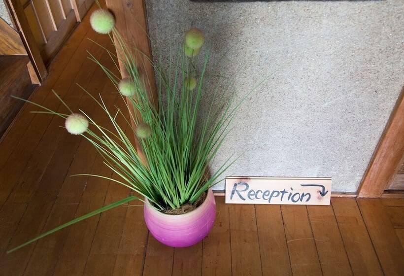 فندق صغير Nasubi Mt. Fuji Backpackers