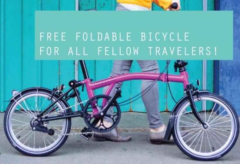 Общежитие The Color Express