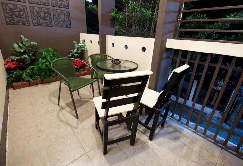 فندق صغير Ashi Poshtel