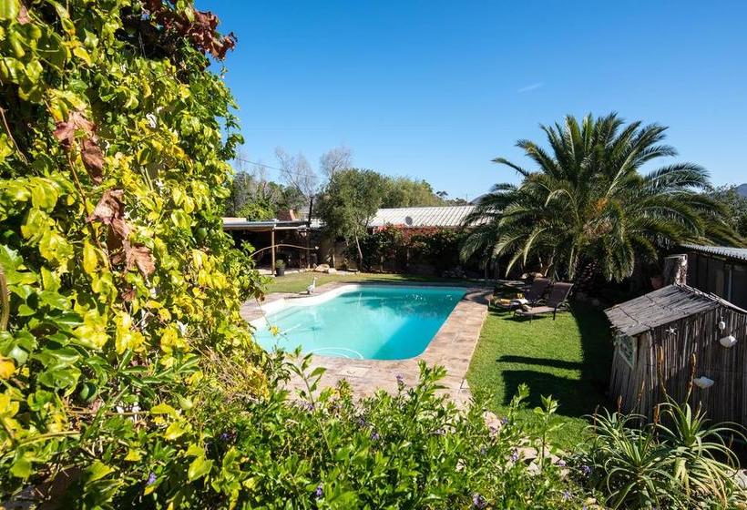 مبيت وإفطار African Tulip Guesthouse