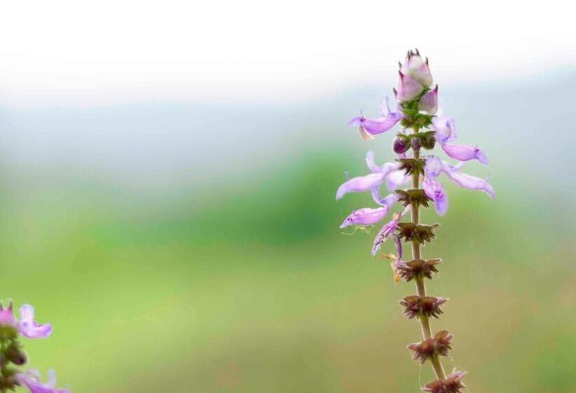 민박 Arum Hill Lodge