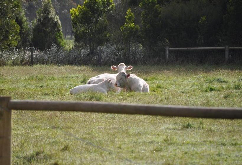 צימר Tallawarra Homestead