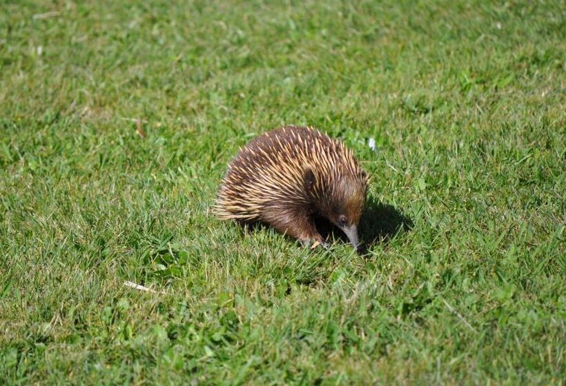 צימר Tallawarra Homestead