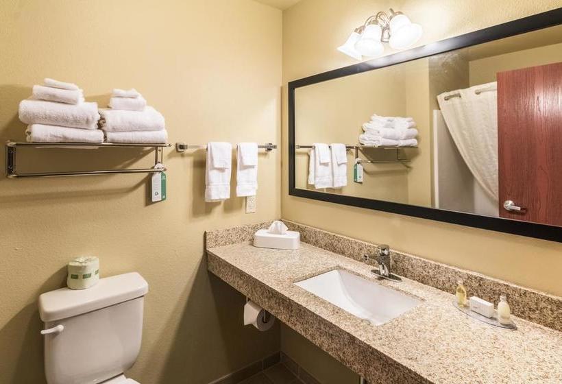 Cobblestone Hotel & Suites Pecos