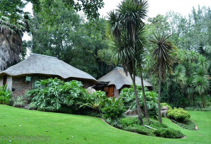 ベッドアンドブレックファースト Five A Morris