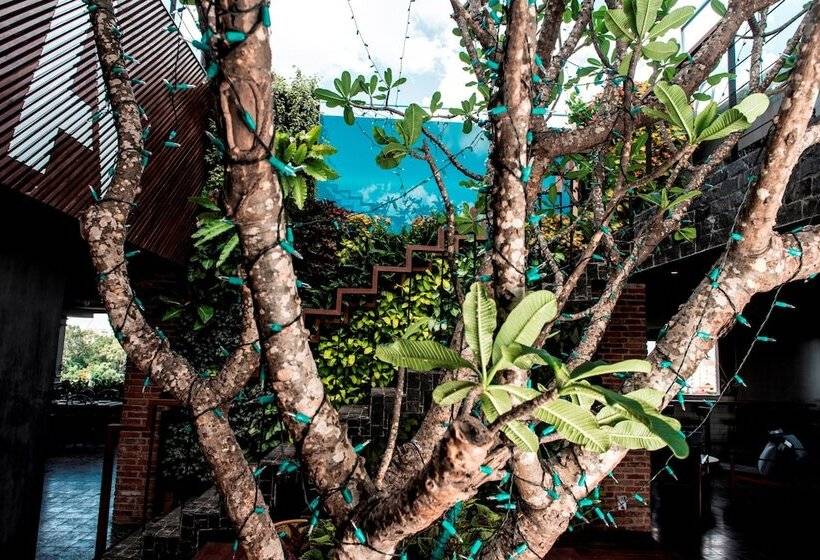 Aquarius Hotel And Urban Resort